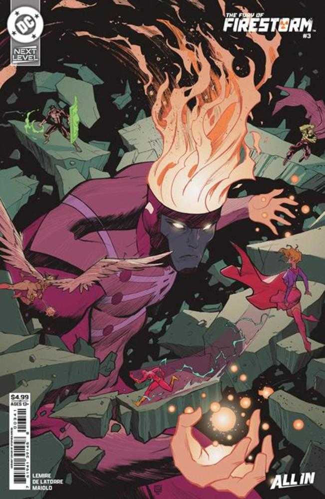 Fury Of Firestorm 3 (Of 8) Cover D Stephen Green Card Stock Variant - Walt's Comic Shop