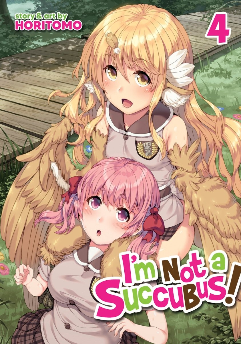 I'm Not A Succubus! Vol. 4 - Walt's Comic Shop