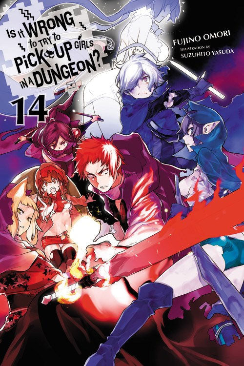Is It Wrong to Try to Pick Up Girls in a Dungeon?, Vol. 14 (Light Novel)