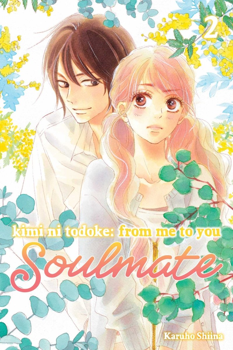Kimi ni Todoke: From Me to You: Soulmate Vol 02 - Walt's Comic Shop