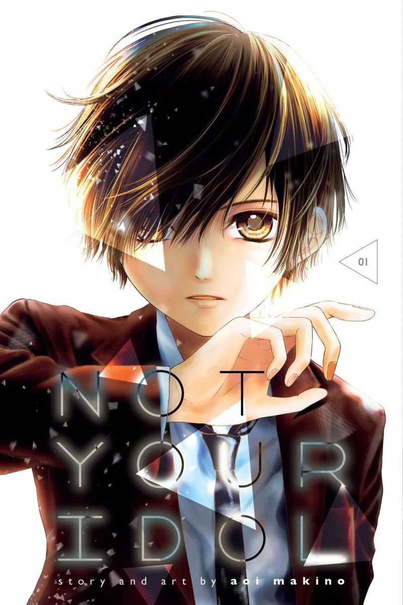 Not Your Idol Vol 01 - Walt's Comic Shop
