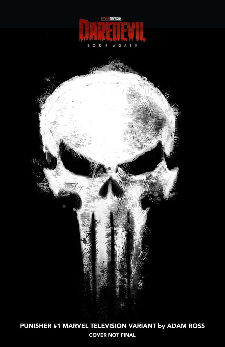 Punisher 1 Adam Ross Marvel Television Logo Variant - Walt's Comic Shop