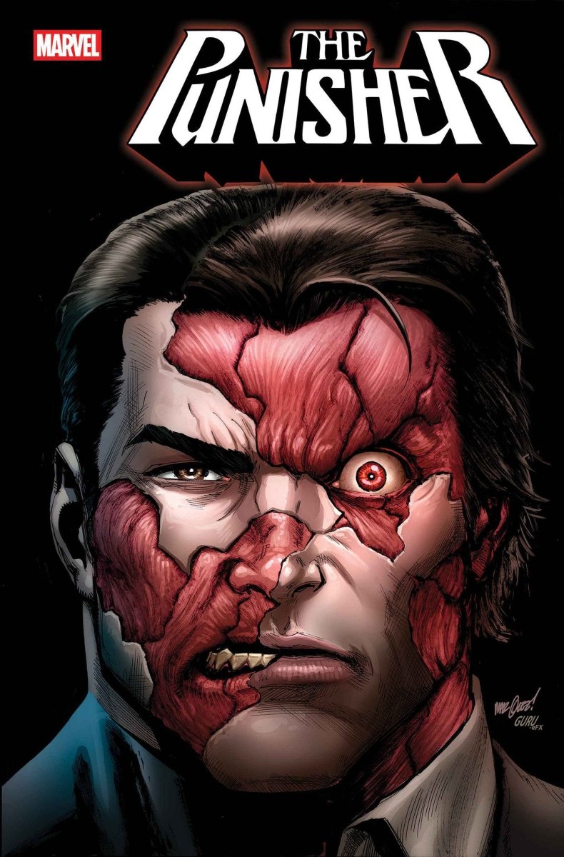 Punisher 2 - Walt's Comic Shop