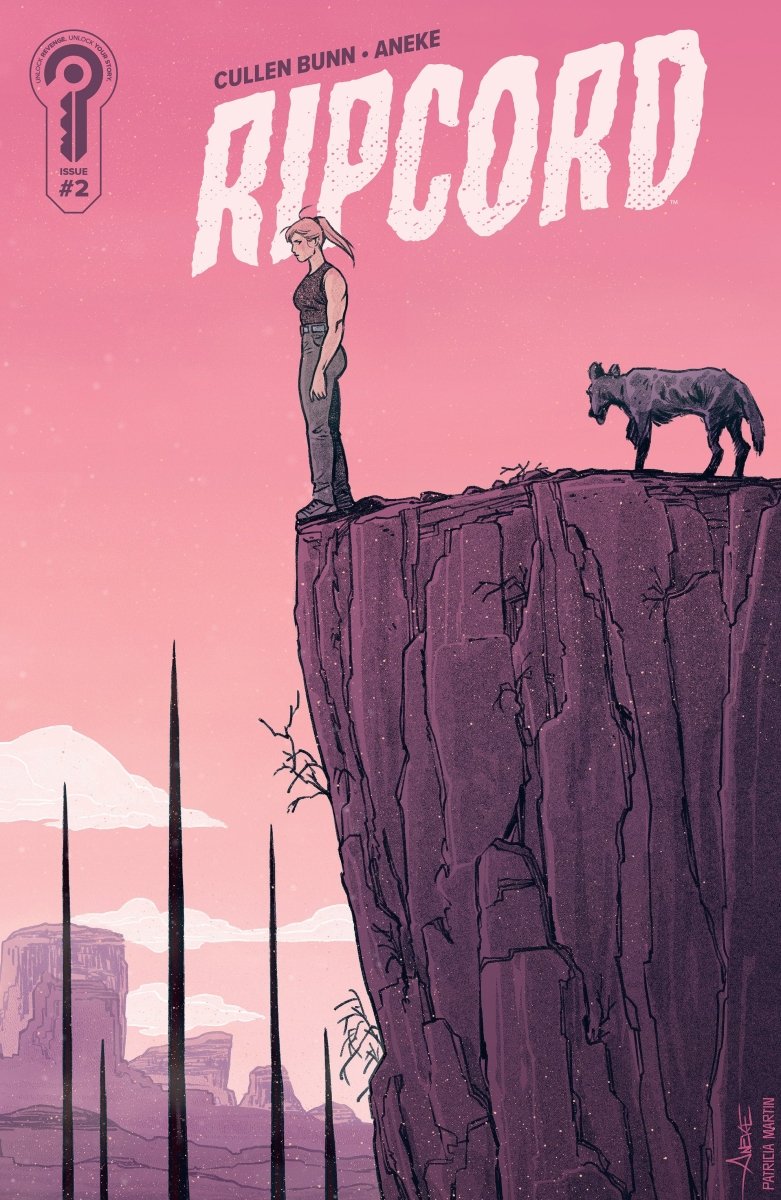 Ripcord 2 Cover B Aneke - Walt's Comic Shop