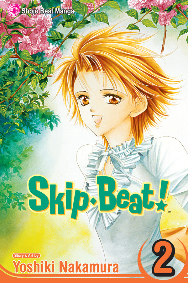 Skip Beat Vol 02