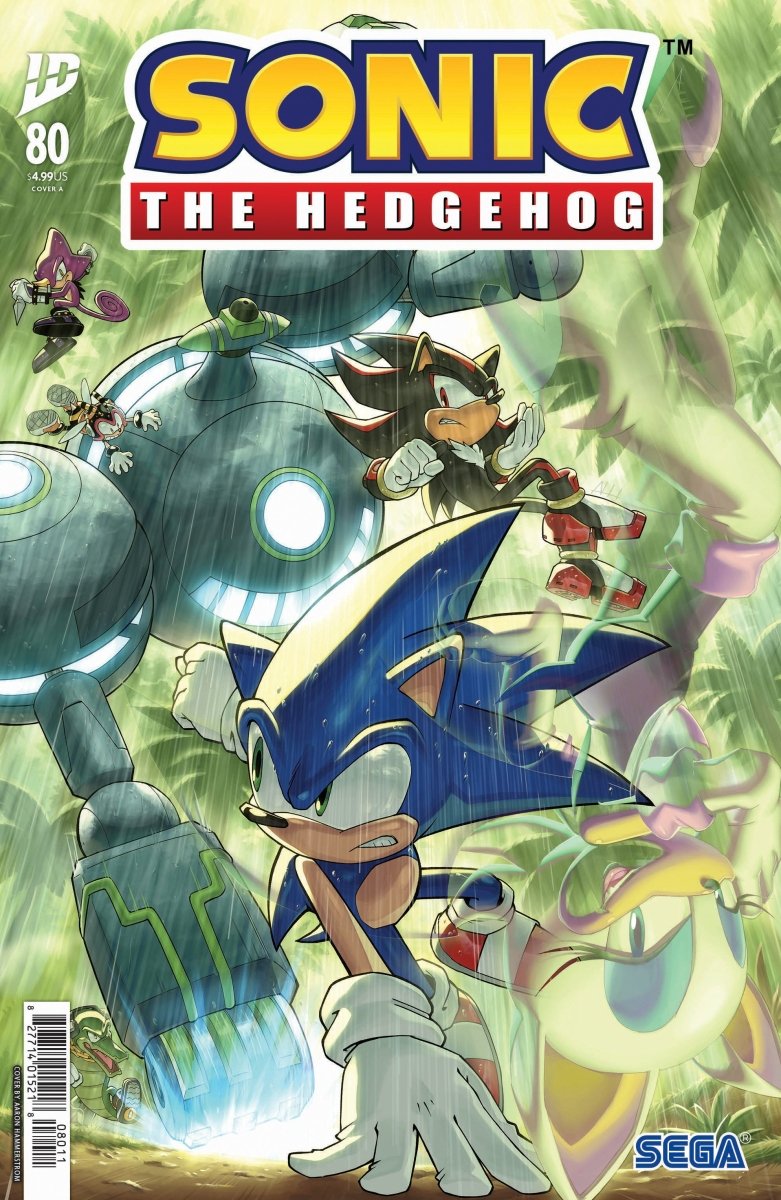 Sonic The Hedgehog 80 Cover A (Hammerstrom) - Walt's Comic Shop
