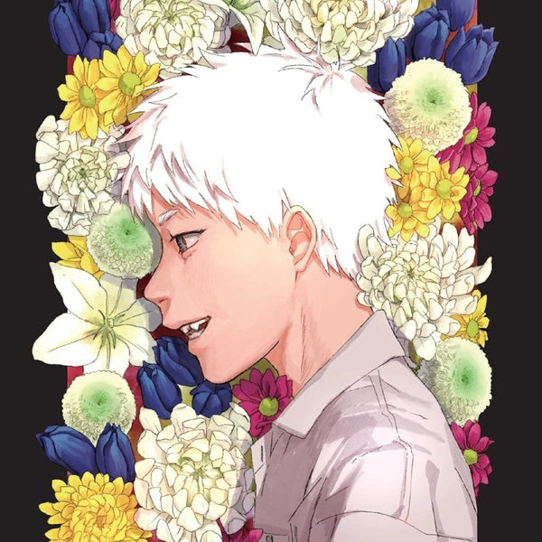 The Summer Hikaru Died Vol 1 (Light Novel) - Walt's Comic Shop €18.12