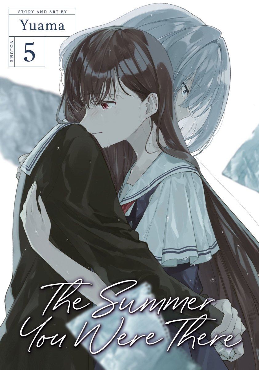 The Summer You Were There Vol. 5 - Walt's Comic Shop