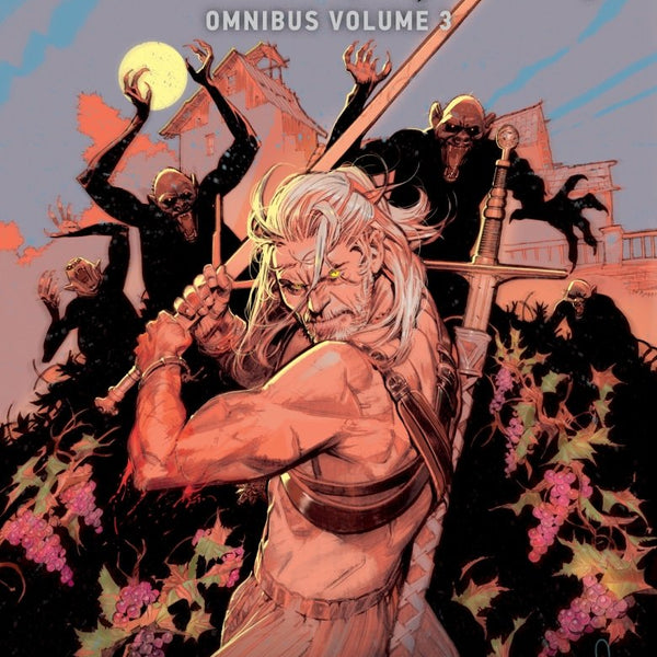 The Witcher Omnibus Volume 3 TP