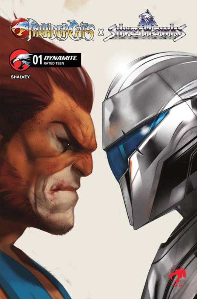 Thundercats X Silverhawks 1 Cover D Ben Oliver Variant - Walt's Comic Shop