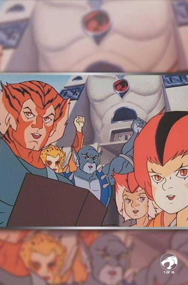 Thundercats X Silverhawks 3 Cover G Animation Art Full Art 1:10 Ratio Variant - Walt's Comic Shop