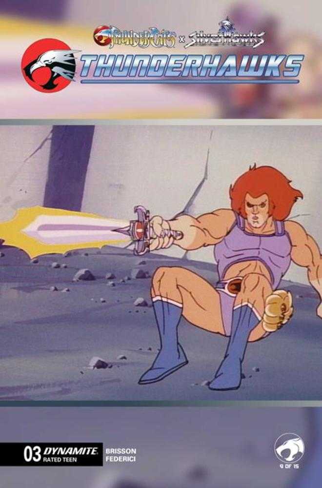 Thundercats X Silverhawks Thunderhawks 3 Cover E Animation Art Variant - Walt's Comic Shop