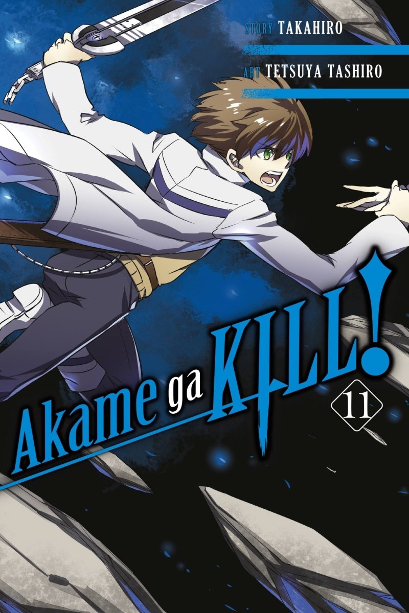 Akame Ga Kill GN Vol 11 - Walt's Comic Shop