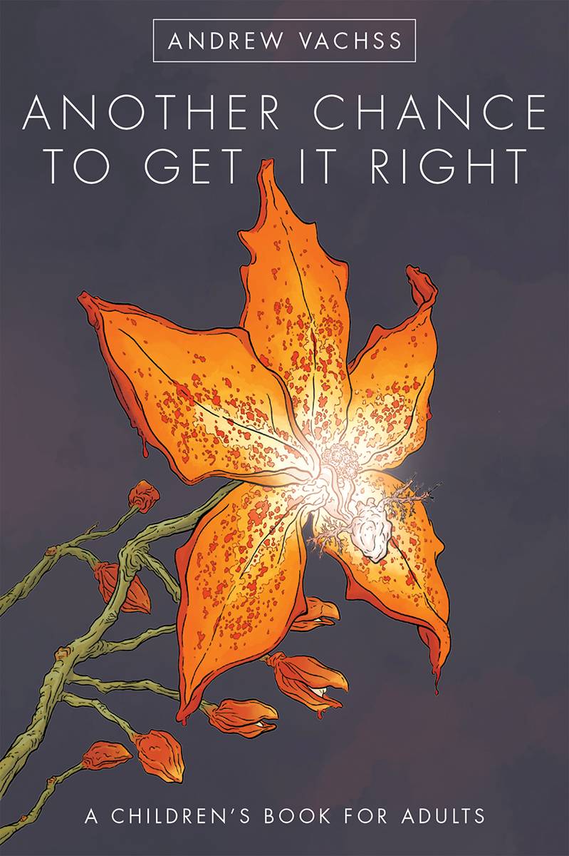 Another Chance To Get It Right HC Fourth Ed. - Walt's Comic Shop