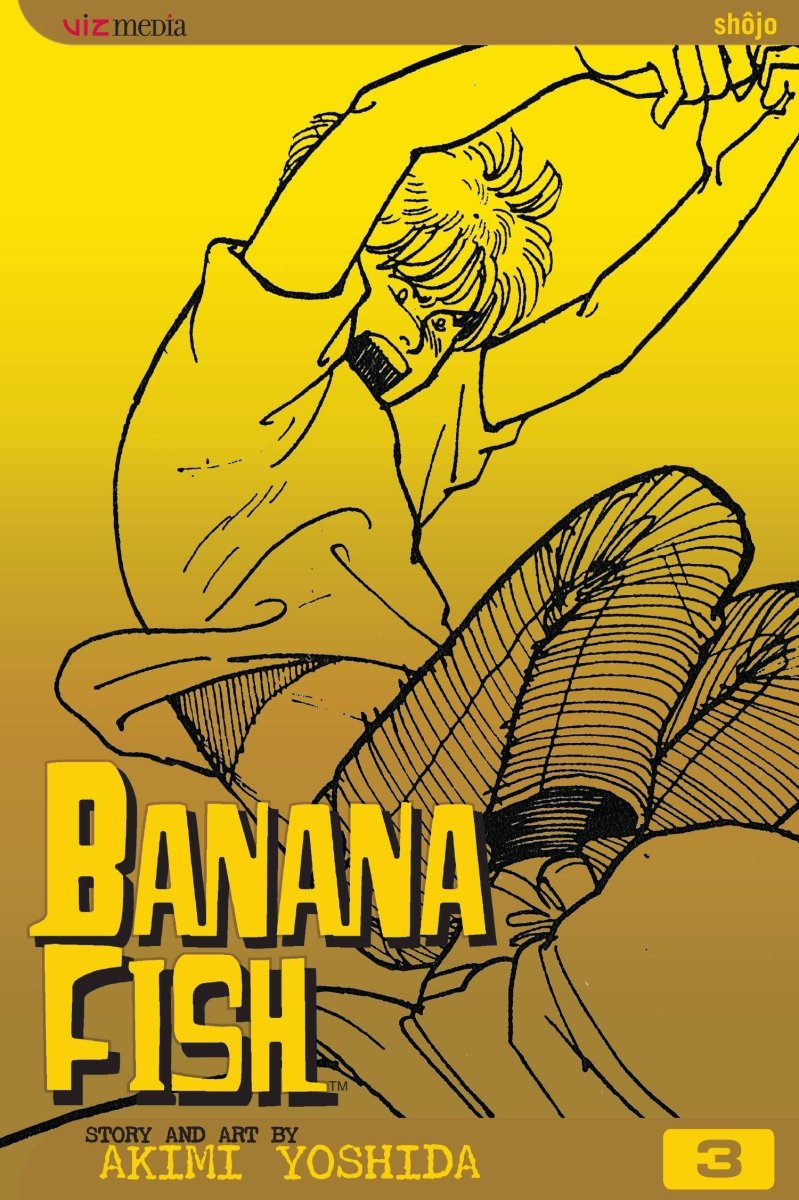 Banana Fish Manga (16-19) Bundle