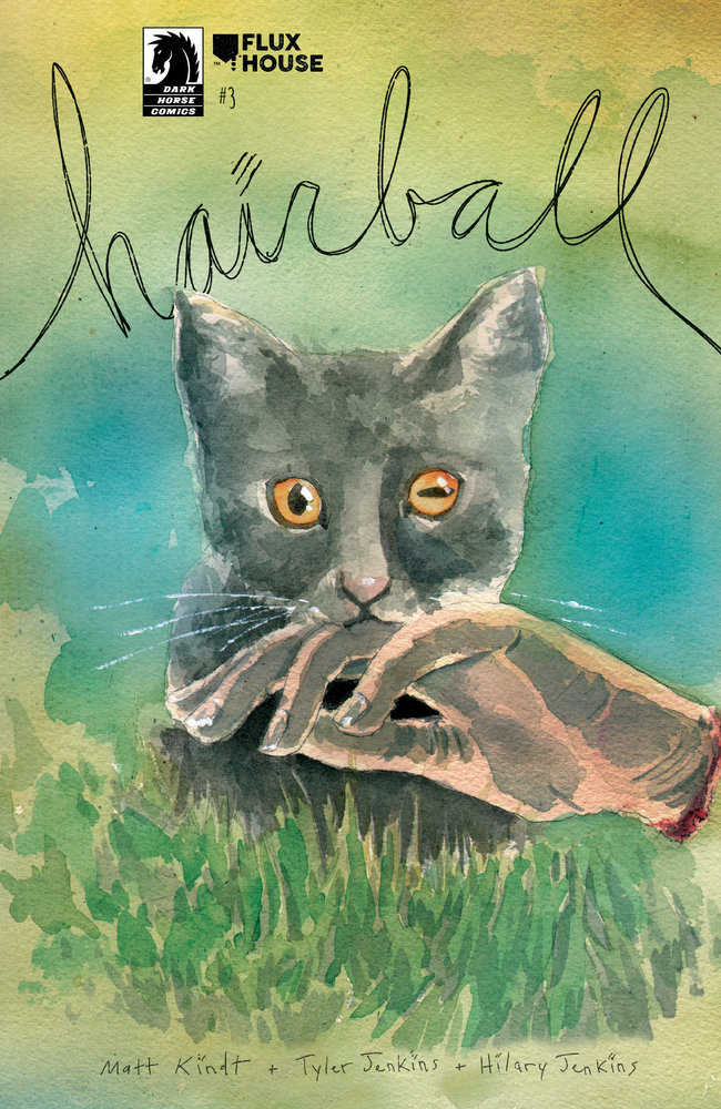 Hairball #3 (Cover A) (Matt Kindt) - Walt's Comic Shop