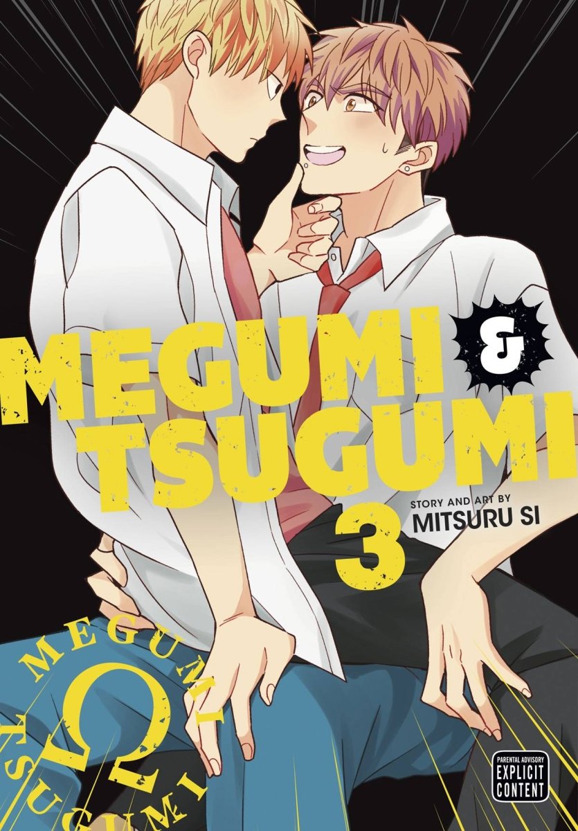 Megumi & Tsugumi GN Vol 03 - Walt's Comic Shop